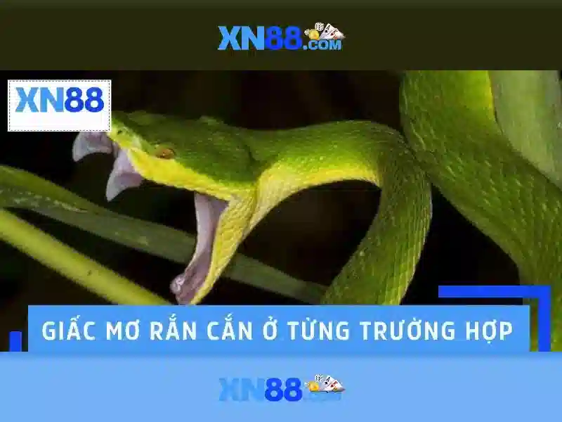 Trải Nghiệm Chơi Slot Đầy Kịch Tính