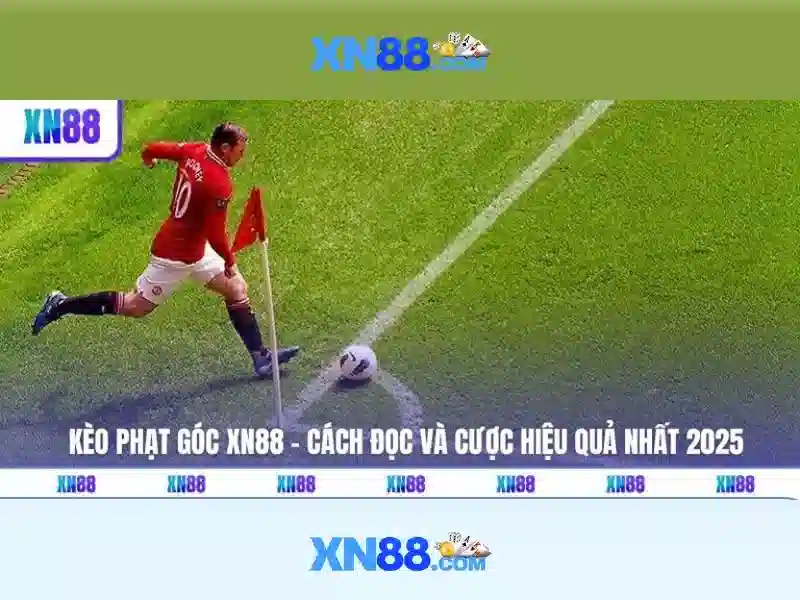 XN88 COM