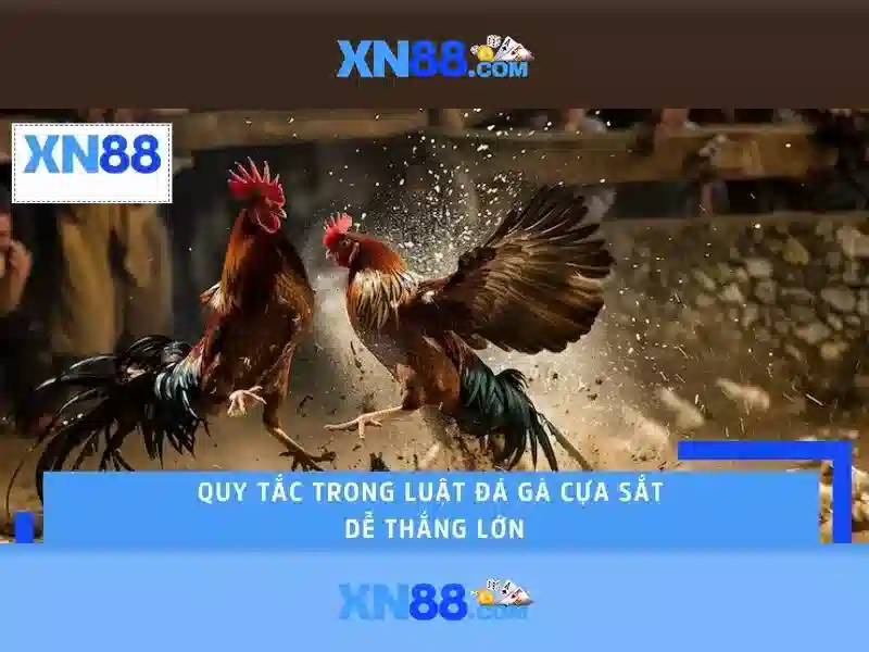 Quy Định Sử Dụng XN88
