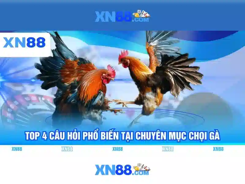 Ứng dụng slot XN88