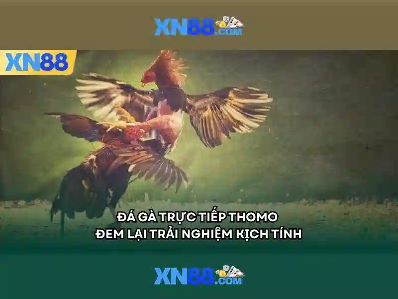 XN88 có uy tín không