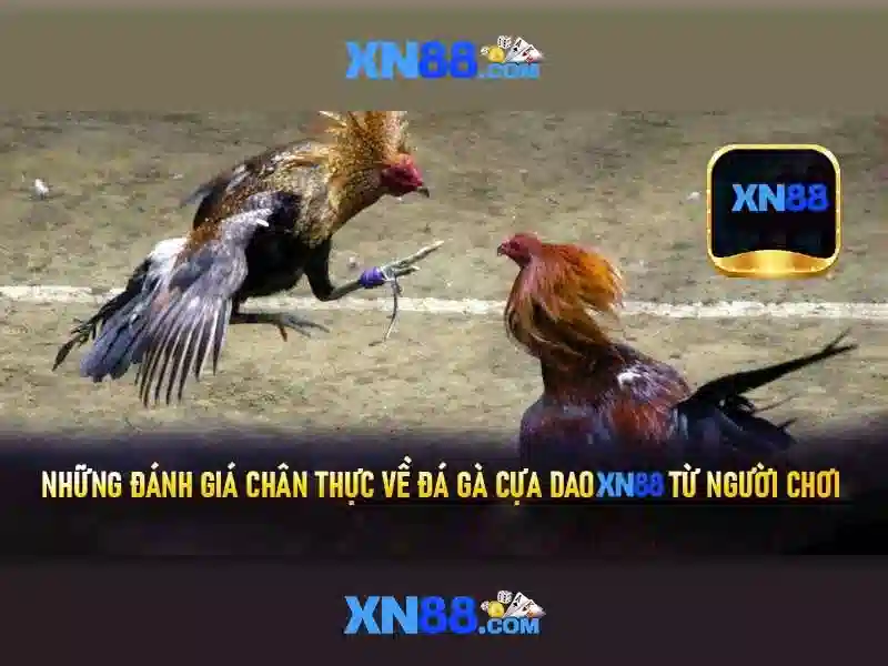 Tại sao chọn XN88