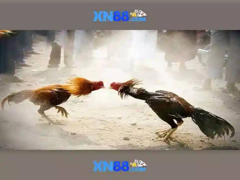 trải nghiệm game slot