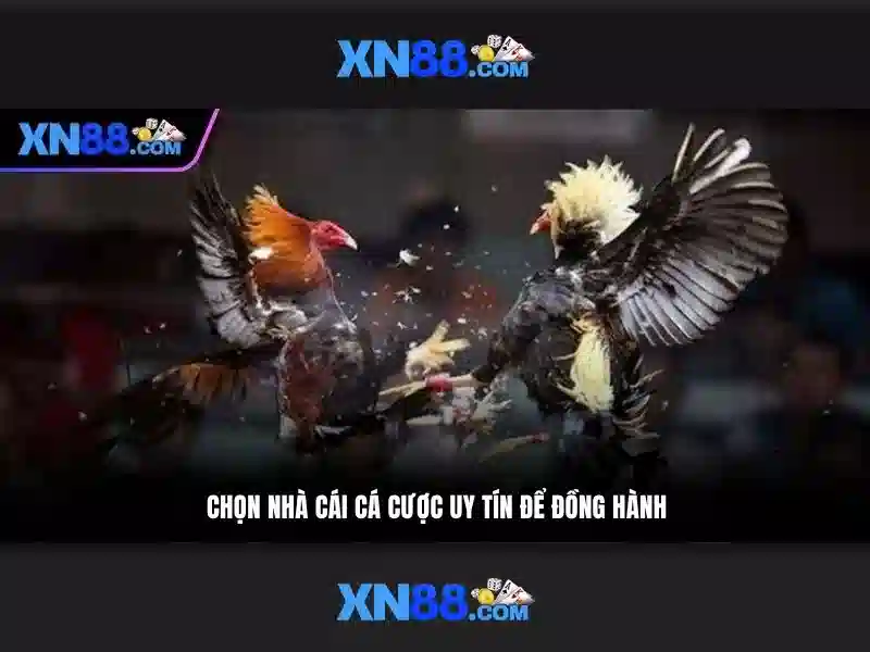 Hướng Dẫn Chơi Slot XN88 2026
