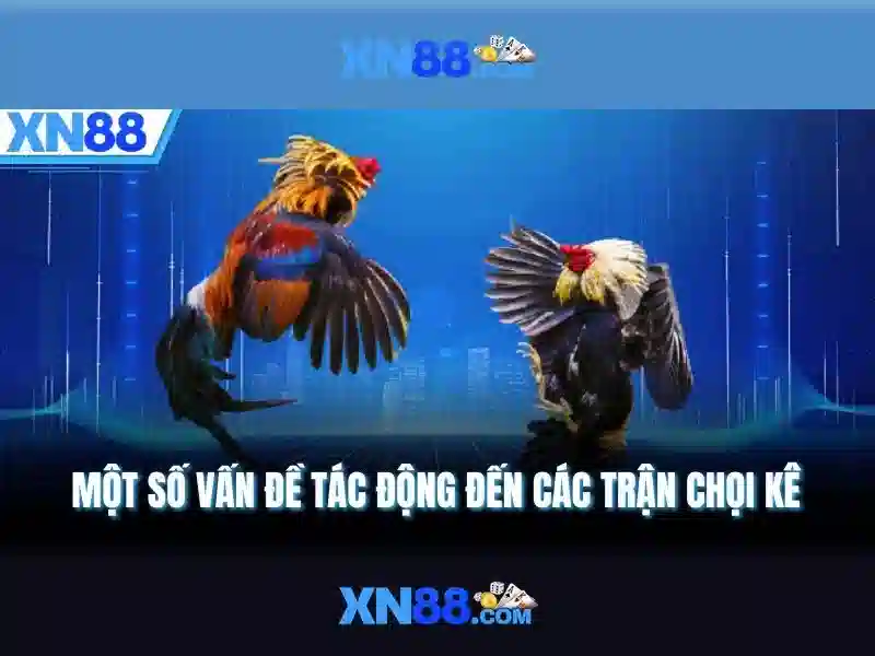 Tải App XN88 Google Play