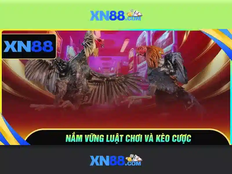 XN88 Casino - Trải Nghiệm Slot Đỉnh Cao Cùng XN88