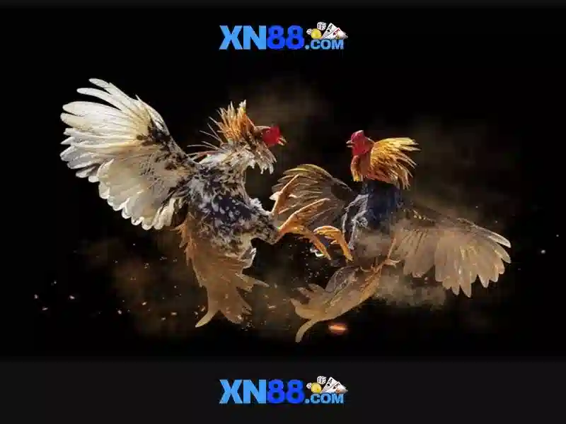 Tính năng nổi bật của XN88