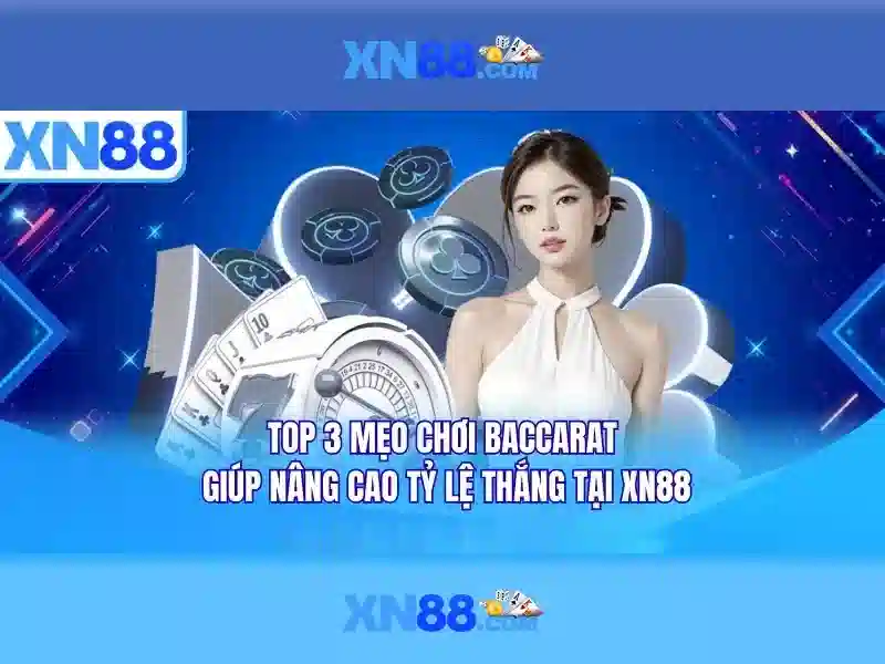 Đánh giá XN88 2026