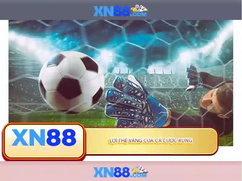 Giải pháp lỗi đăng ký app XN88