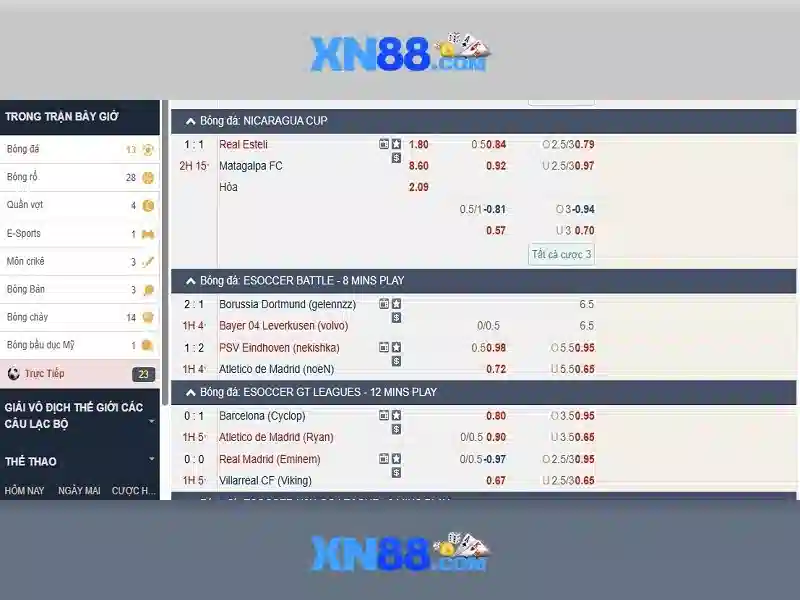 Giới Thiệu Về XN88