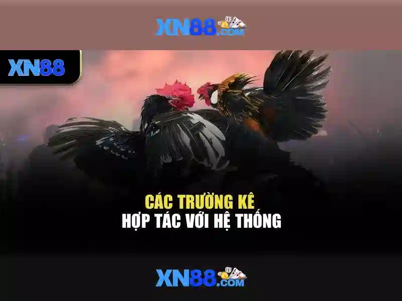 Công Nghệ Đảm Bảo Trải Nghiệm Mượt Mịn