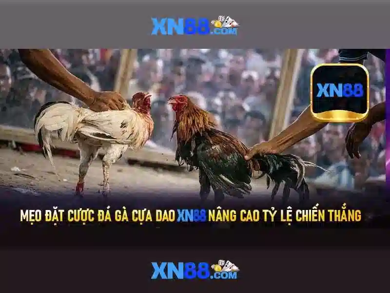 Trải Nghiệm Slot