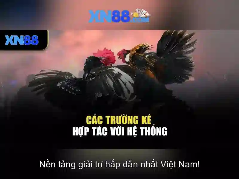 Cách Tải XN88 Đơn Giản Chỉ Trong 3 Bước