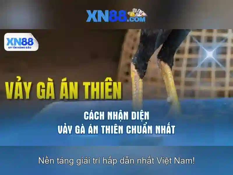 XN88 App – Trang Chinh Cua XN88 Uy Tinh, Chinh Hang, Thuc Te, Chinh Sach Ho Tro Nhanh Chong 2026