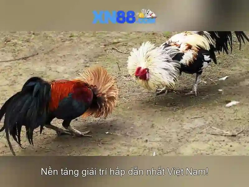 Công Nghệ Google Play 2026