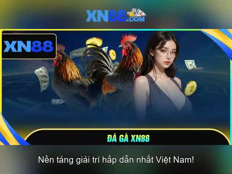 XN88 BSHRF – Trang Chủ Độc Quyền 2026