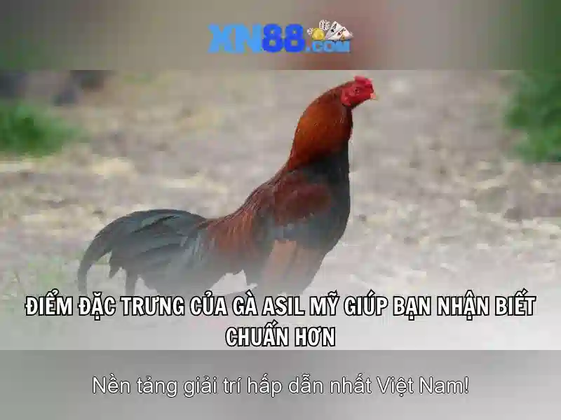 Khám Phá Thế Giới Bắn Cá Trực Tuyến Hấp Dẫn
