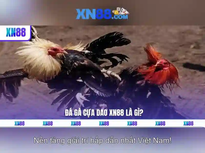 Trải nghiệm XN88