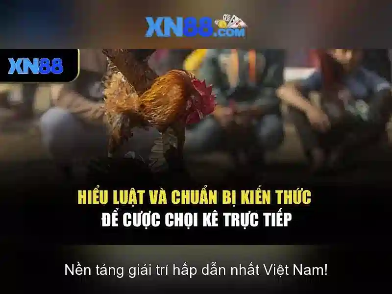 XN88 – Nền Tảng Slot Đa Dạng