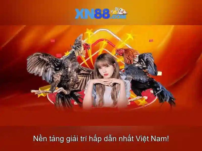 Tính Năng Nổi Bật Của XN88 App