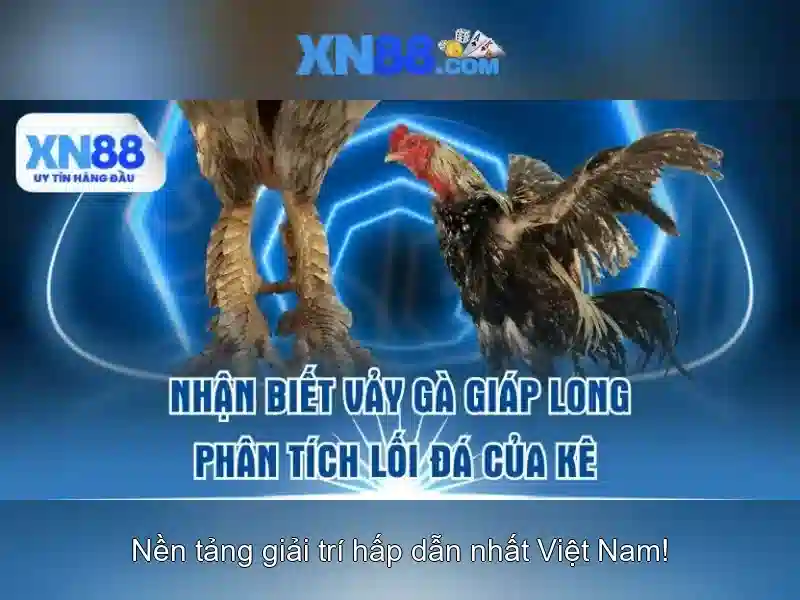 Trải Nghiệm Slot XN88
