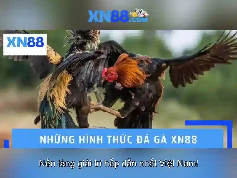 XN88 – Trải Nghiệm Đỉnh Cao Trong Thế Giới Slot, Casino, Bắn Cá