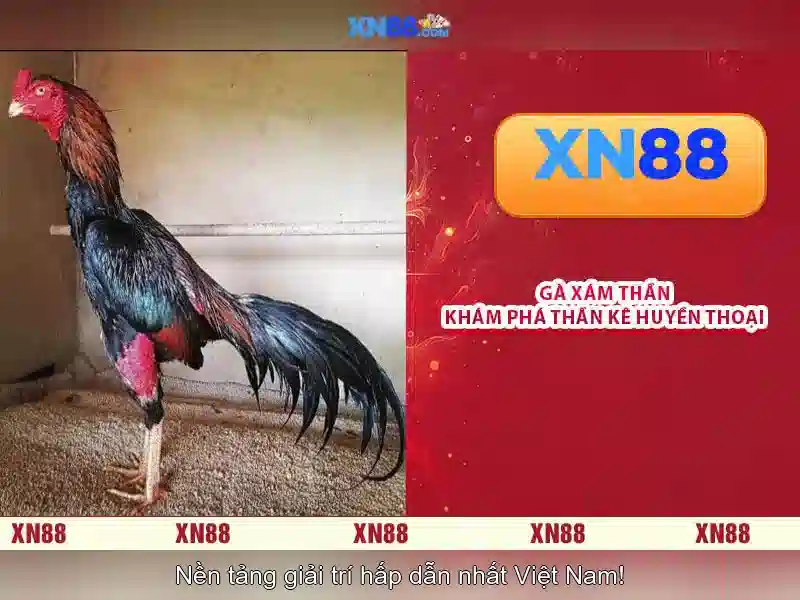 Trải Nghiệm Slot Đỉnh Cao