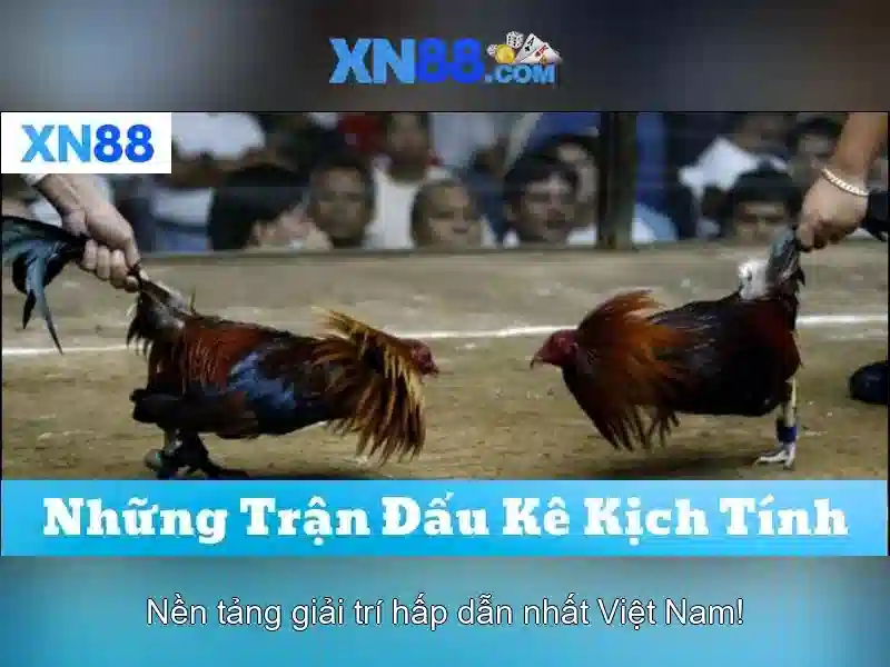 Chơi Slot