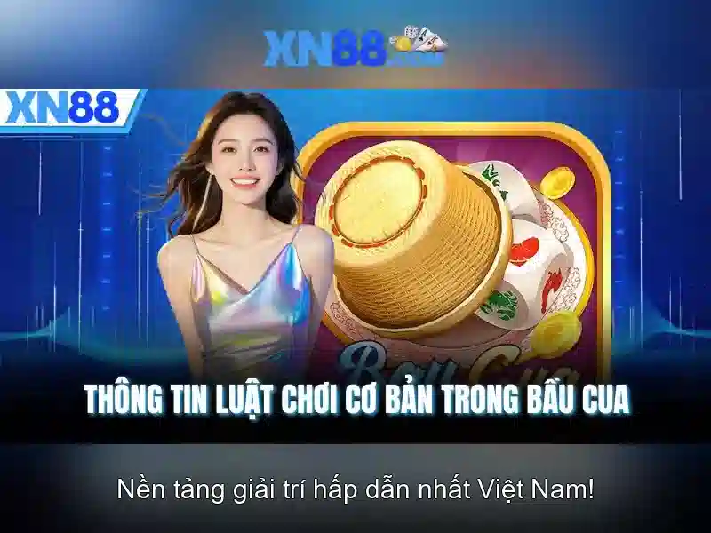 Hệ Thống Hỗ Trợ XN88