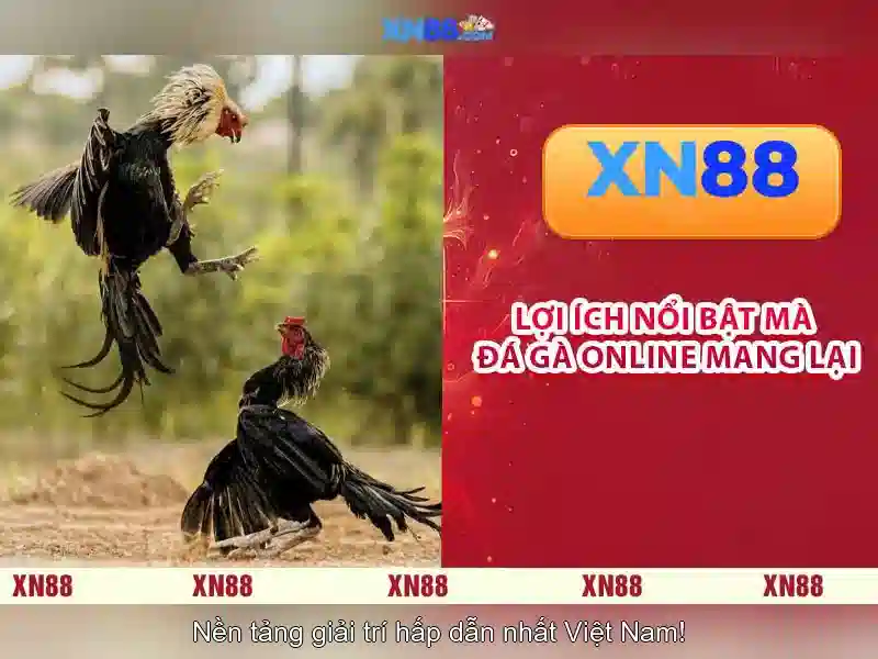 Khuyến mãi Slot 2026