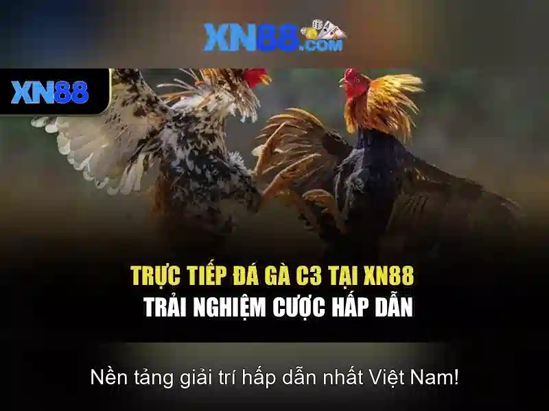 Hệ Thống Slot Đa Dạng Tại XN88