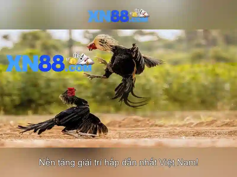 Ứng dụng tải XN88 Slot