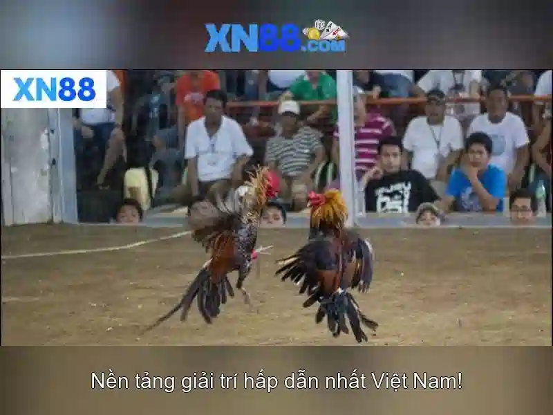 XN88 – Chính Sách Bảo Mật Tối Ưu Cho Người Chơi Xn88 Game
