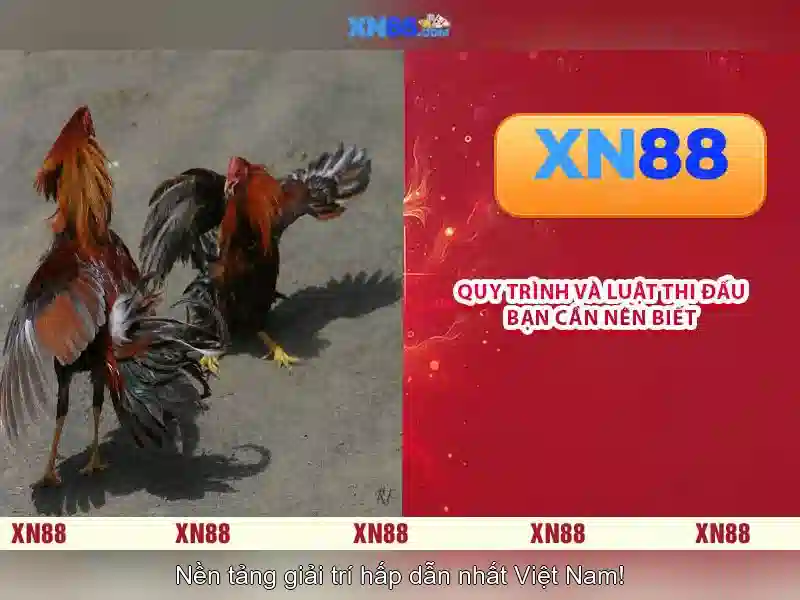 XN88 Slot Uy Tín