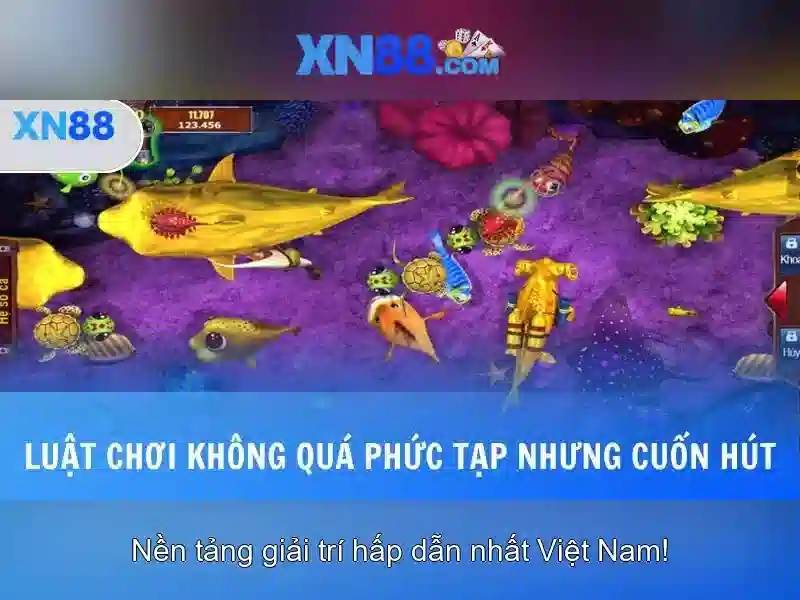 Giới Thiệu XN88