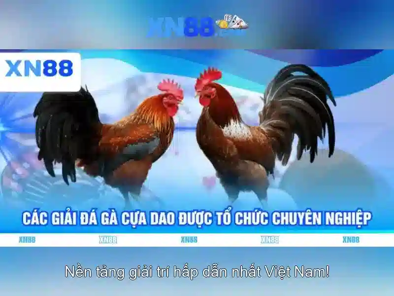 Tải XN88