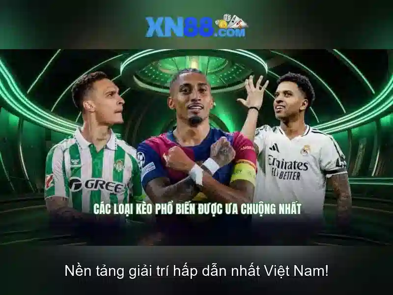 Tải XN88 App